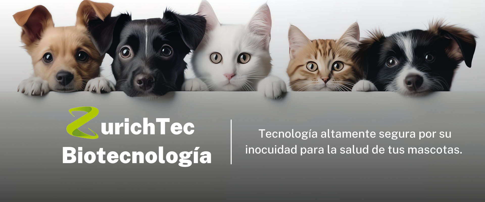 ZurichTec Biotecnología (1)